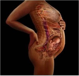 10178044_712922825417764_2992296191128135912_n