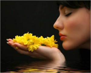 10250247_701970173179696_6692050963329200798_n