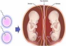 10300675_716944101682303_1938313114274337190_n