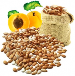 10307413_716363218407058_7614680111247230282_n