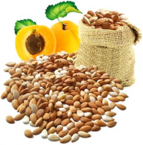 10307413_716363218407058_7614680111247230282_n